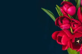 8-mart-dunya-kadinlar-gunu_6043c7da86e87