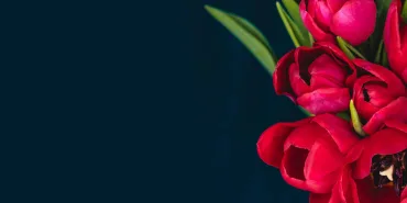 8-mart-dunya-kadinlar-gunu_6043c7da86e87