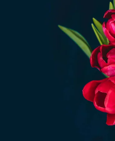 8-mart-dunya-kadinlar-gunu_6043c7da86e87