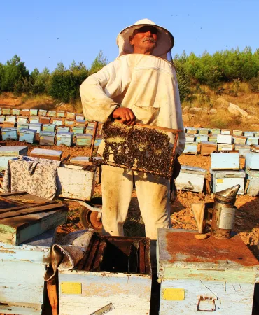 TÜRK ÇAM BALININ DÜNYA PAZARINDAKİ EKONOMİK PAYI ARTTIRILACAK