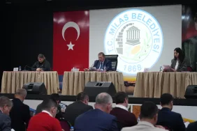 WhatsApp Image 2026-03-04 at 09.55.56