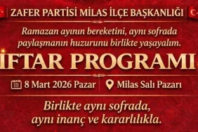 WhatsApp Image 2026-03-06 at 15.10.03