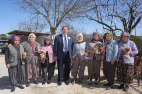 WhatsApp Image 2026-03-08 at 19.16.11 (3)