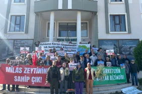 WhatsApp Image 2026-03-10 at 13.52.11