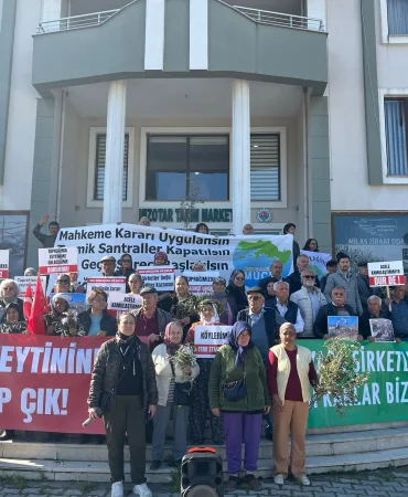 WhatsApp Image 2026-03-10 at 13.52.11