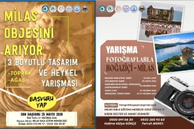 WhatsApp Image 2026-03-12 at 15.54.34