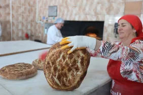 WhatsApp Image 2026-03-14 at 11.48.49