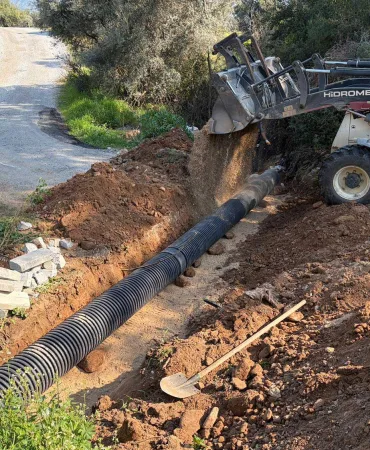 WhatsApp-Image-2026-03-26-at-08.56