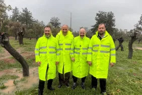 WhatsApp Image 2026-03-29 at 19.27.05