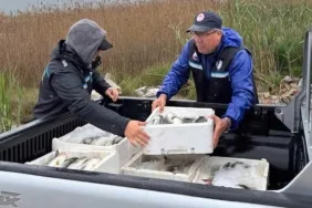 WhatsApp-Image-2026-03-29-at-19.4365