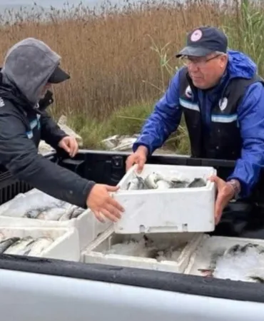 WhatsApp-Image-2026-03-29-at-19.4365