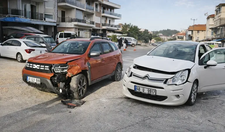 milas-ta-sabah-saatlerinde-kaz_1772779859_6qoXtW