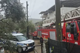 whatsapp-image-2026-03-28-at-120216-1_1774691256_Ljoil6