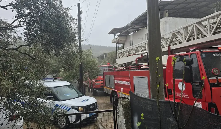 whatsapp-image-2026-03-28-at-120216-1_1774691256_Ljoil6