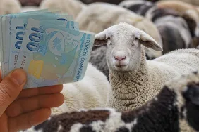 150-Bin-Kucukbas-Hayvan-Destegi-Basvurulari-Ne-Zaman