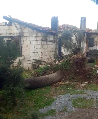 WhatsApp-Image-2026-04-02-at-14.09