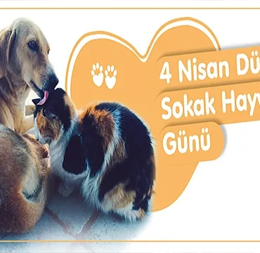 baskan-gokhan-in-4-nisan-dunya-sokak-hayvanlari-gunu-mesaji