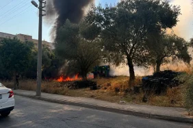 milas-burgaz-mahallesi-nde-otl_1787224583_7CnW1o