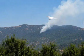 milas-sakarkaya-da-orman-yangi_1787138129_W5EXqP