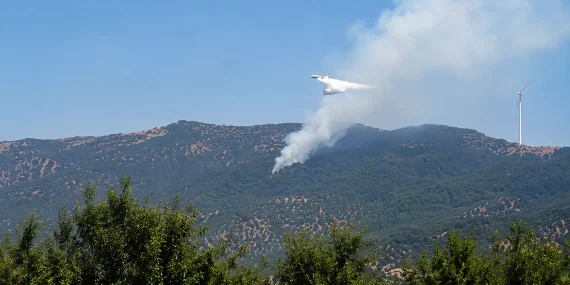 milas-sakarkaya-da-orman-yangi_1787138129_W5EXqP
