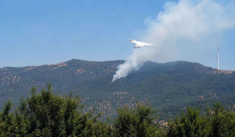 milas-sakarkaya-da-orman-yangi_1787138129_W5EXqP