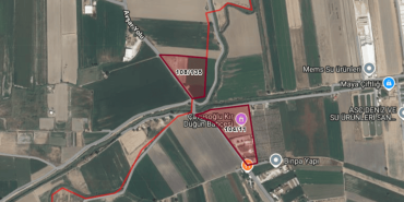 milas-tarlalar