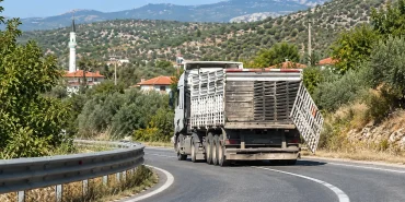 oren-den-milas-a-boyle-geldi-a_1791203759_5tijI9